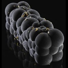 Форма для мороженого/суфле 3D 'Атомный' 250х80мм h80мм (объем 1,2л), силикон KE041S